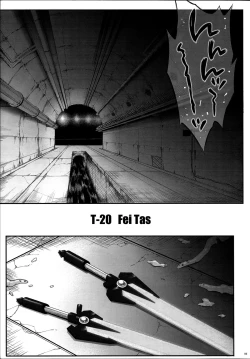 Page 4 of T-20 Fei Tas