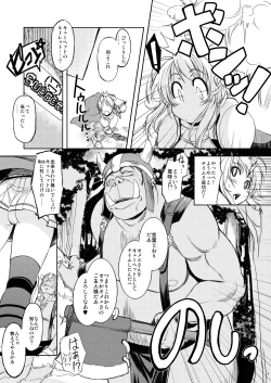 Page 4 of Hime Kishi Tame 1