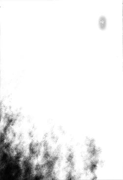 Page 36 of T-20 Fei Tas