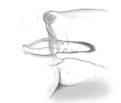 Page 47 of Holy&Beast