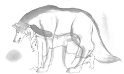 Page 55 of Holy&Beast