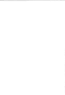 Page 31 of SEX UND BISMARCK