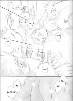 Page 17 of Taion