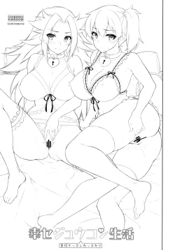 Page 4 of Shiawase Juukon Seikatsu