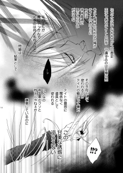 Page 13 of Hikatokage wa futatsu de hitotsu