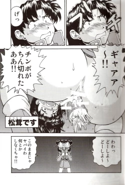 Page 21 of A Wild Fancy