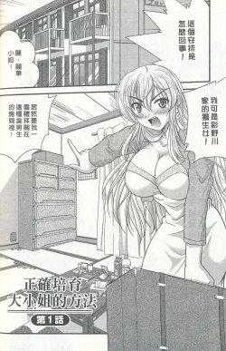 Page 6 of Tadashii Reijou no Sodatekata