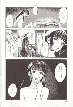 Page 24 of Sakurairo no Shouzou Night Gallery I