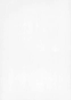 Page 2 of Fukushuu? Sareru Cirno