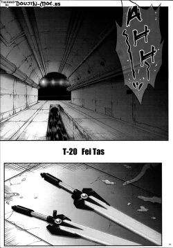 Page 4 of T-20 Fei Tas