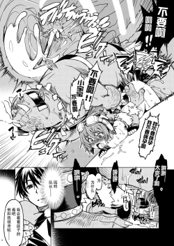 Page 20 of Hime Kishi Tame Ho
