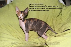 Page 29 of This LOVE#88