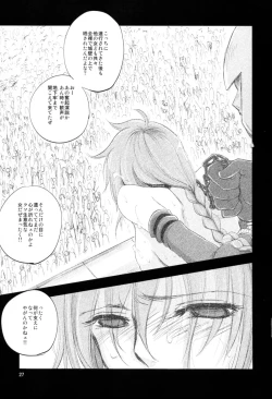 Page 27 of The Mercenary Millia