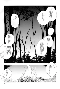 Page 41 of The Mercenary Millia