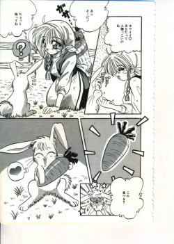 Page 23 of Fairy Paradise