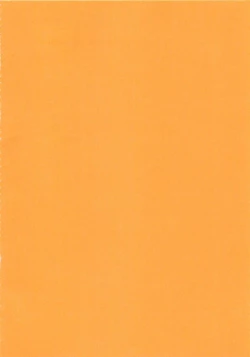 Page 4 of Zen ○mon Hirake!