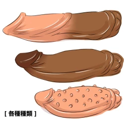 Page 13 of DR. Omonemushi