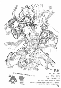 Page 30 of TWIN STRIKE