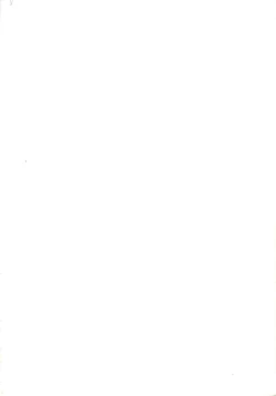 Page 2 of LITTL MREMAID SELLECT