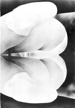 Page 20 of Dairiku Byoutou Kaiteiban