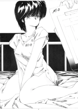 Page 4 of Dairiku Byoutou Kaiteiban