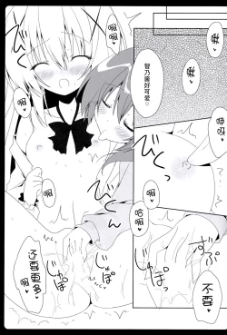 Page 13 of Cocochino