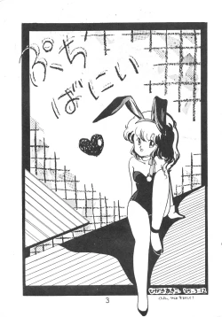 Page 3 of PETIT BUNNY Vol. 1