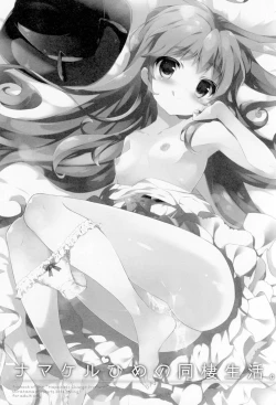 Page 4 of Namakeru Hime no Dousei Seikatsu.