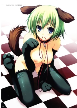 Page 50 of Tomose Shunsaku Jisen Illust Shuu