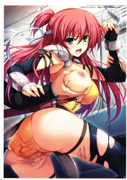 Page 9 of Tomose Shunsaku Jisen Illust Shuu