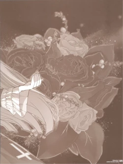 Page 28 of KIRINO PLUS