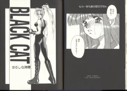 Page 17 of Dennou Butou Musume