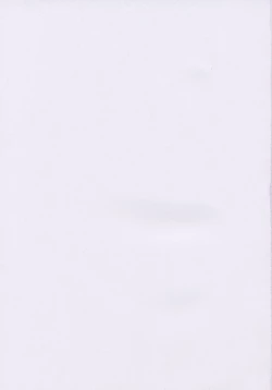 Page 7 of Yarippanashi 100 Renpatsu!