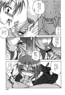 Page 243 of COMIC Himedorobow 2008-07