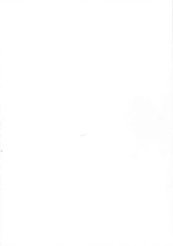 Page 25 of SUBSTITUTE 2