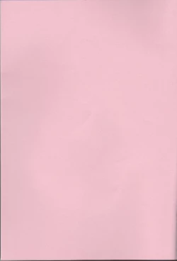 Page 2 of Juudai ga Onnanoko ni Nacchimatta!