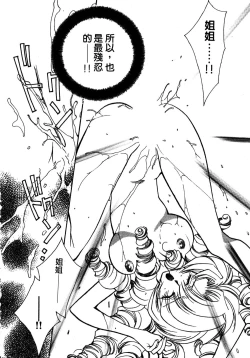 Page 29 of Shangrila