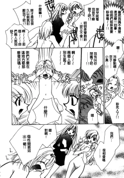 Page 49 of Shangrila