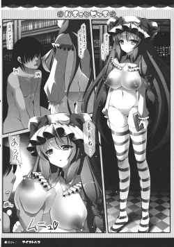 Page 3 of Pache Bitch