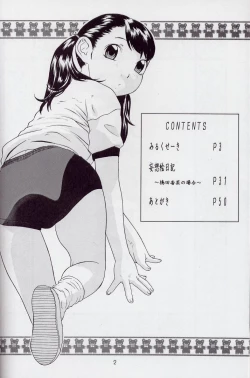 Page 3 of Mousou Enikki