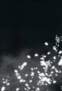 Page 4 of Platonic syndrome