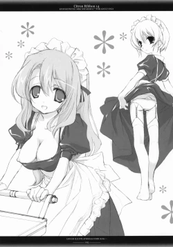 Page 4 of Citron Ribbon 14