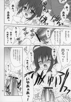 Page 15 of SECRET FILE