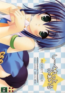 Page 1 of SECRET FILE