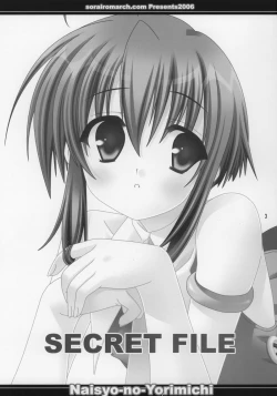 Page 2 of SECRET FILE