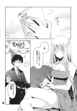 Page 3 of Kyuukyoku Reijou Nishizono Shizuka no Karei naru Daidanen