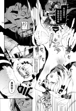 Page 16 of PL/RAY USA