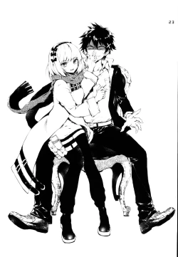 Page 23 of PL/RAY USA