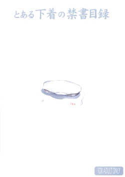 Page 22 of Toaru Pantsu no Index