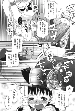 Page 29 of COMIC Shoujo Shiki Aki 2011